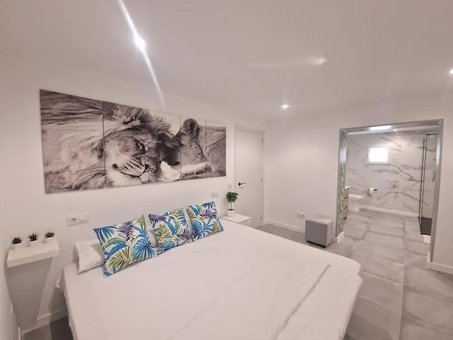Casona Low Cost Fan Lujo Palma di Maiorca 0*,